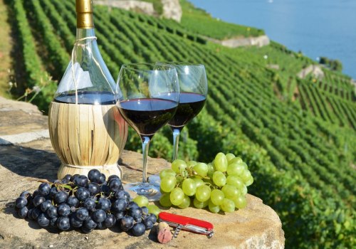 The World's Best Wines: A Wine Expert's Perspective